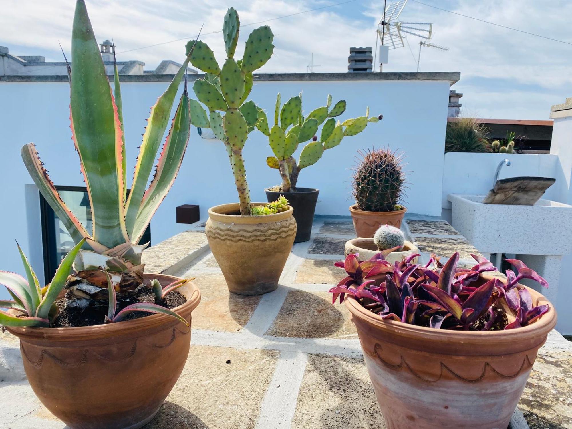 Dimora Del Sole Luxury And Charm Apartment Otranto Exteriör bild